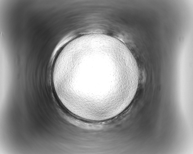 X0000084550004200703161655