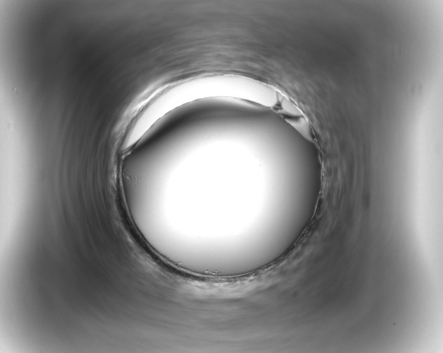 X0000084550005200703161655