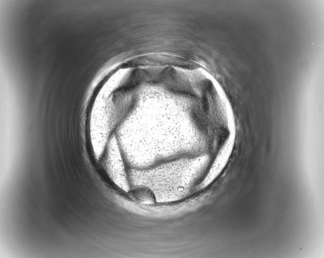 X0000084550006200703161655