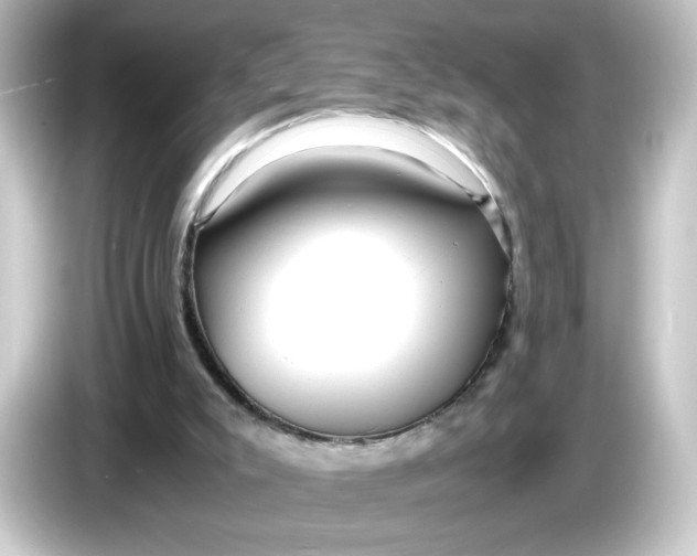 X0000084550007200703161655