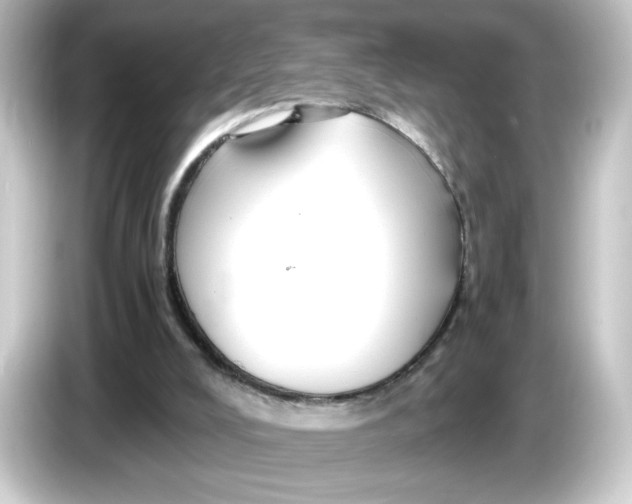 X0000084550008200703161654