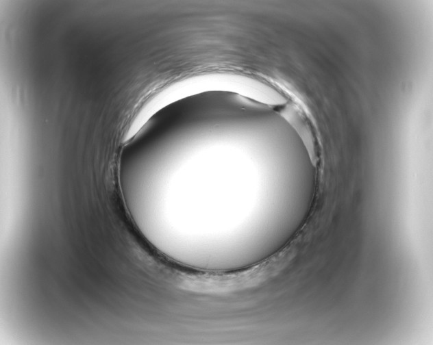 X0000084550009200703161654