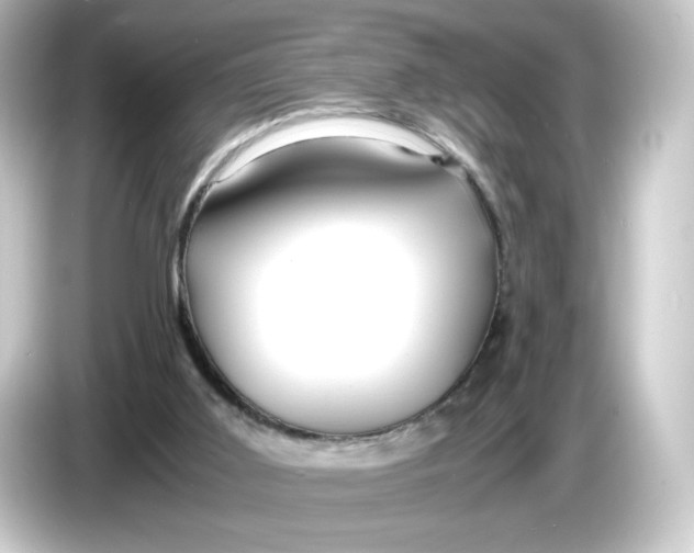 X0000084550011200703161654