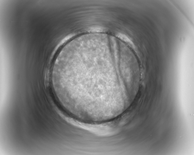 X0000084550012200703161654