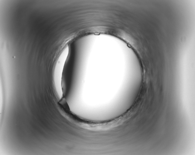 X0000084550013200703161654