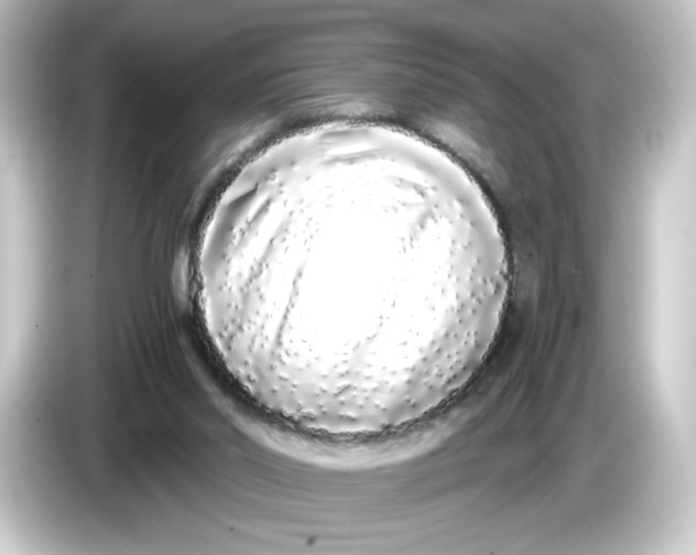 X0000084550014200703161654