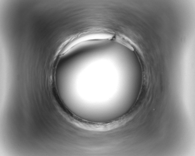 X0000084550015200703161654