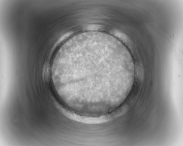 X0000084550016200703161654