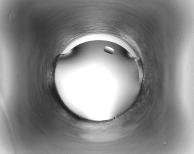 X0000084550017200703161654