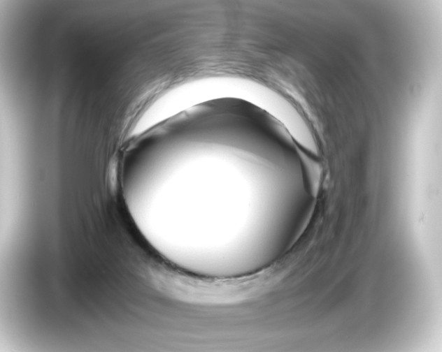 X0000084550019200703161654