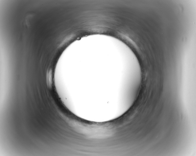 X0000084550020200703161654