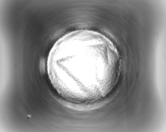 X0000084550022200703161654