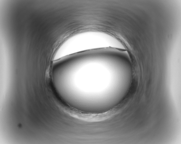 X0000084550023200703161654