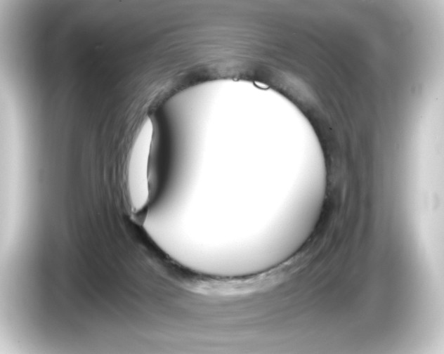 X0000084550025200703161654