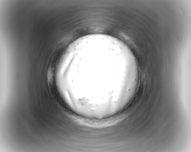 X0000084550026200703161654