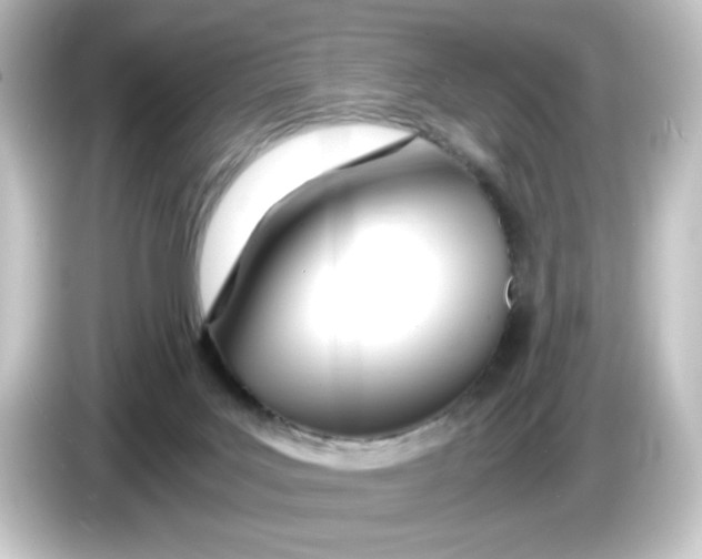 X0000084550027200703161654