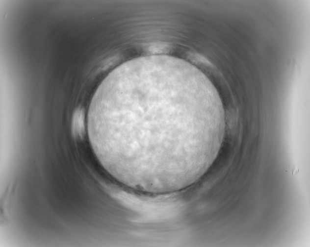 X0000084550028200703161654