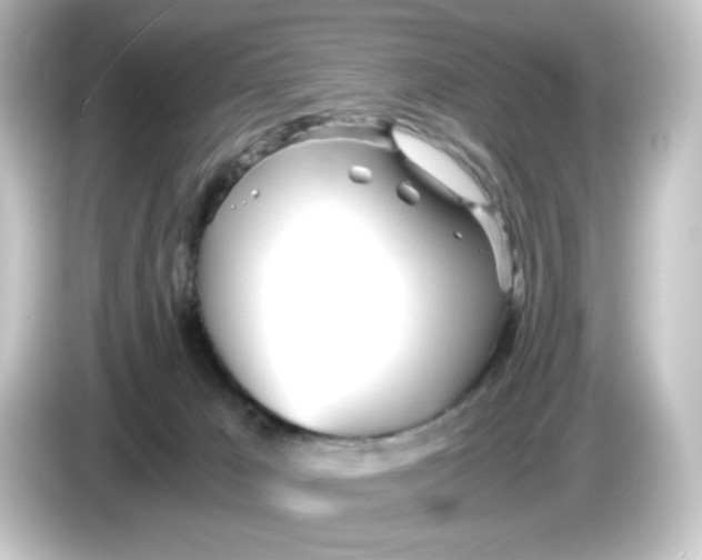 X0000084550029200703161654