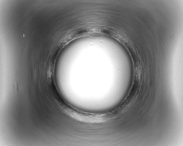 X0000084550032200703161654