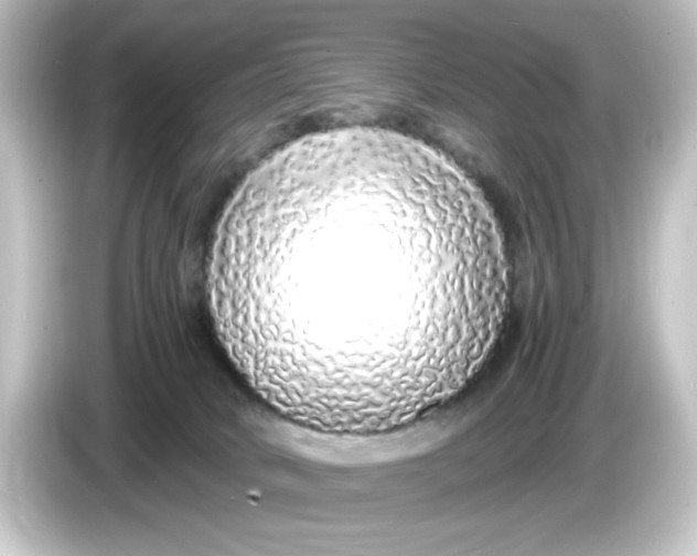 X0000084550034200703161654