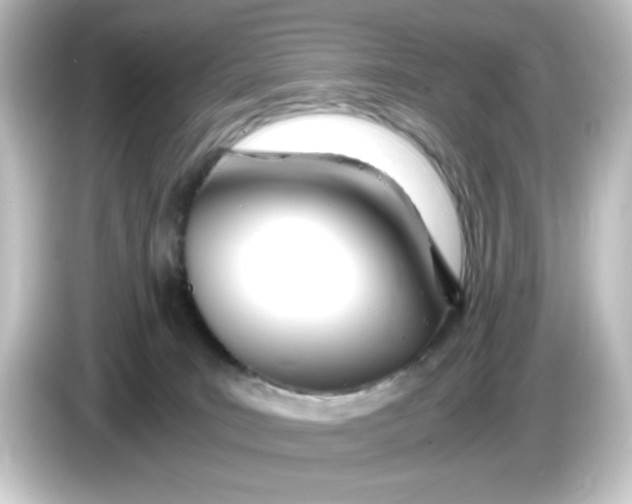 X0000084550035200703161654