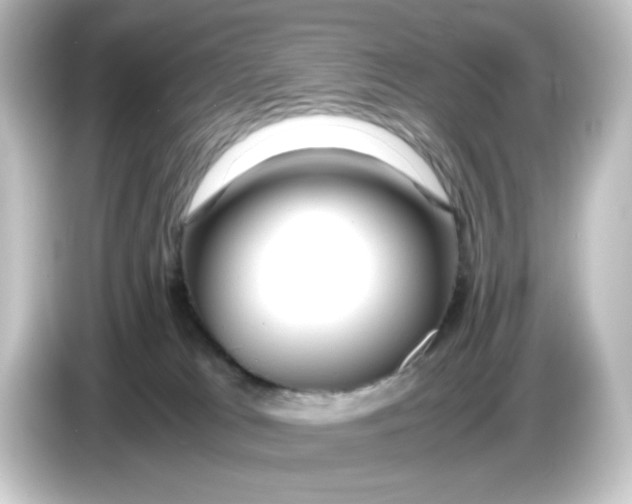 X0000084550037200703161654