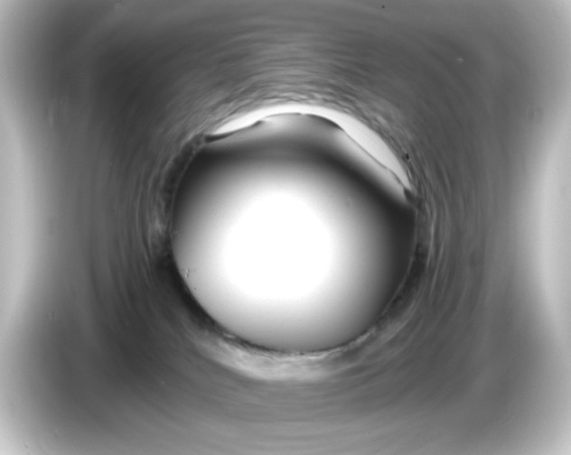 X0000084550040200703161654