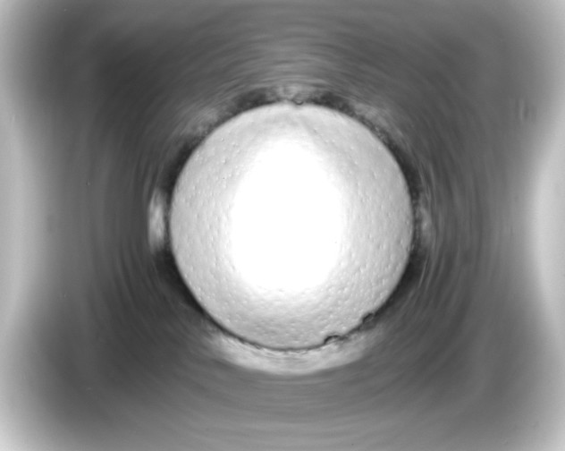 X0000084550042200703161654