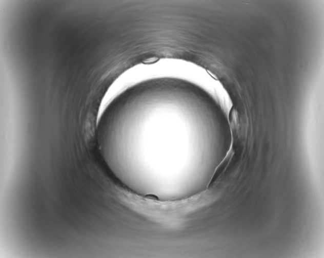 X0000084550043200703161654