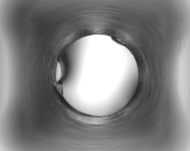 X0000084550044200703161654