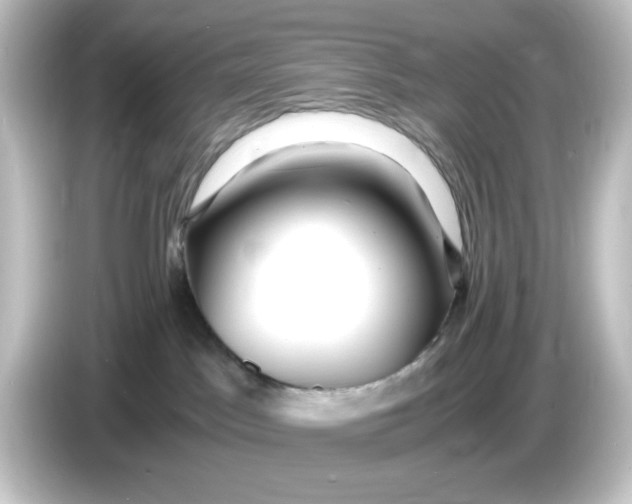 X0000084550045200703161654