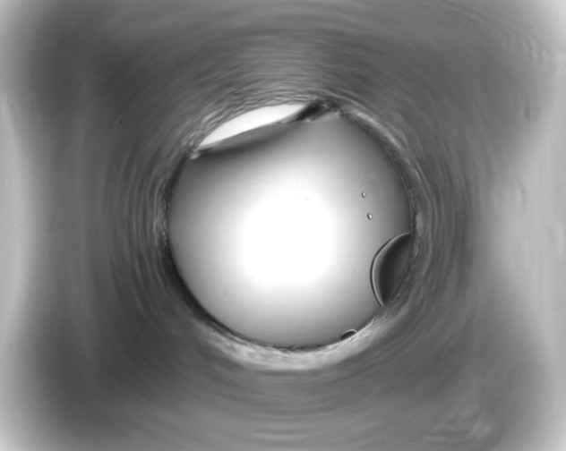 X0000084550048200703161654