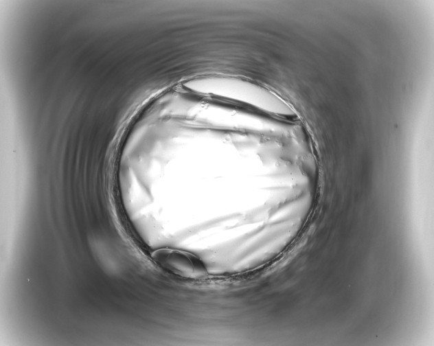 X0000084550049200703161653