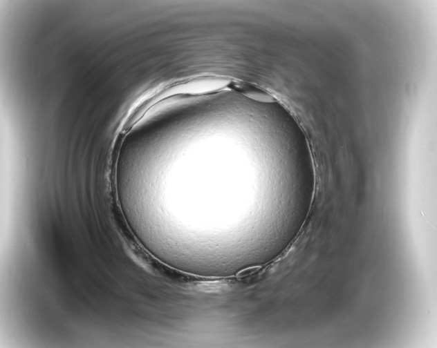 X0000084550050200703161653