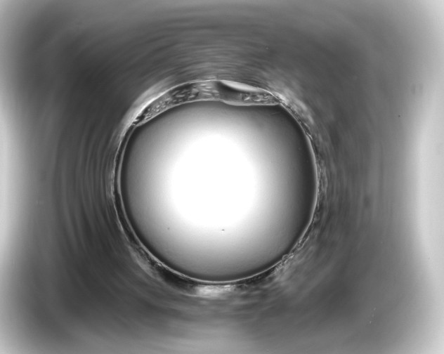 X0000084550051200703161654