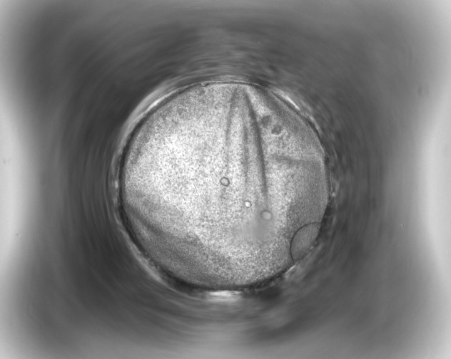 X0000084550053200703161654