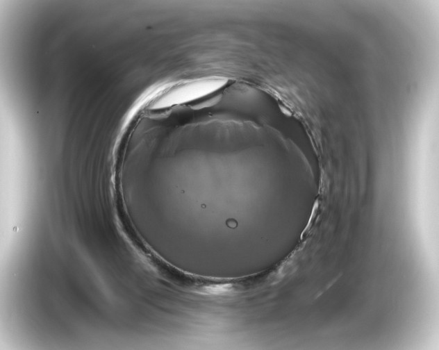 X0000084550054200703161654