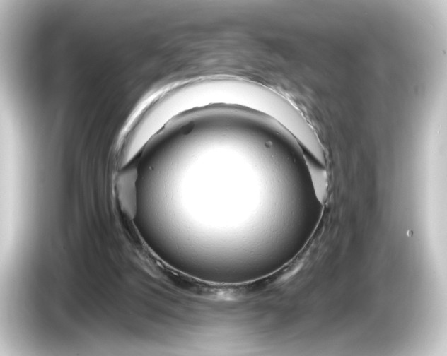 X0000084550056200703161654