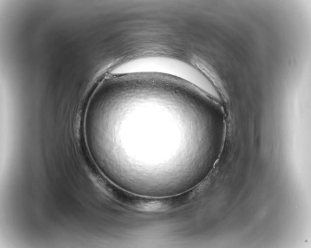 X0000084550058200703161654