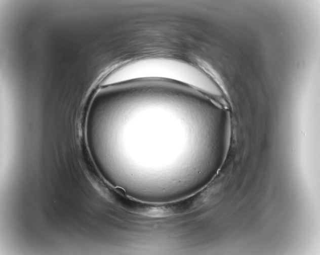 X0000084550059200703161654