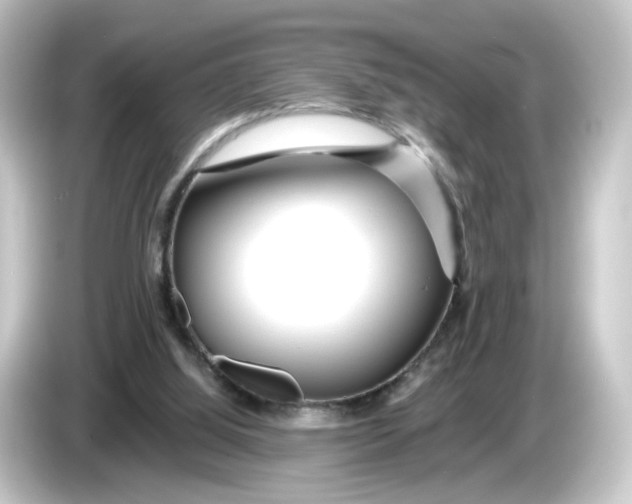 X0000084550060200703161654