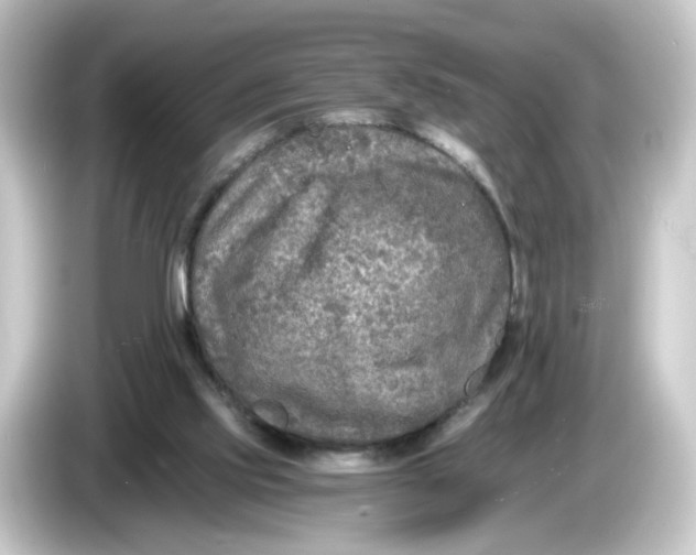 X0000084550061200703161654