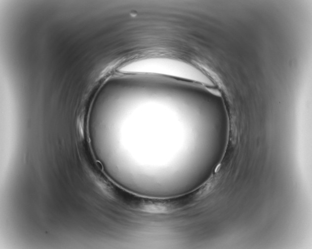 X0000084550062200703161654