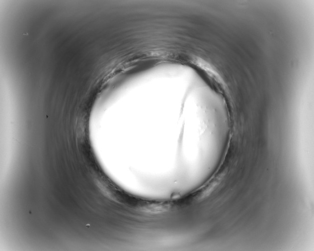 X0000084550065200703161654