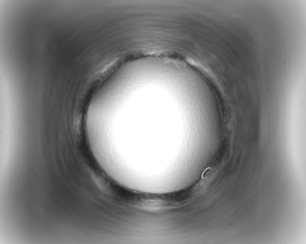 X0000084550066200703161654