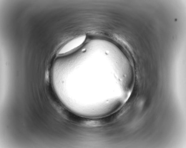 X0000084550067200703161654