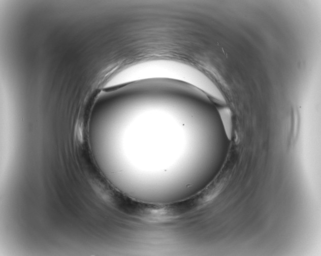 X0000084550068200703161654