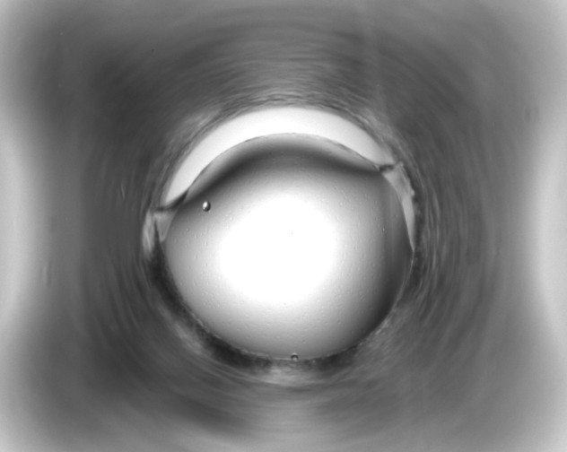 X0000084550070200703161654