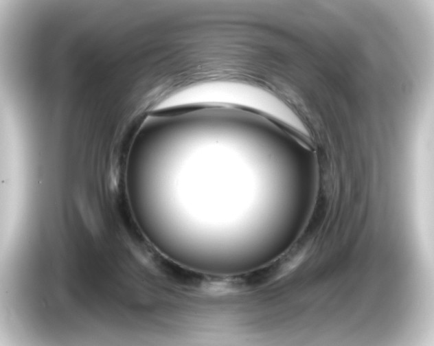 X0000084550072200703161654