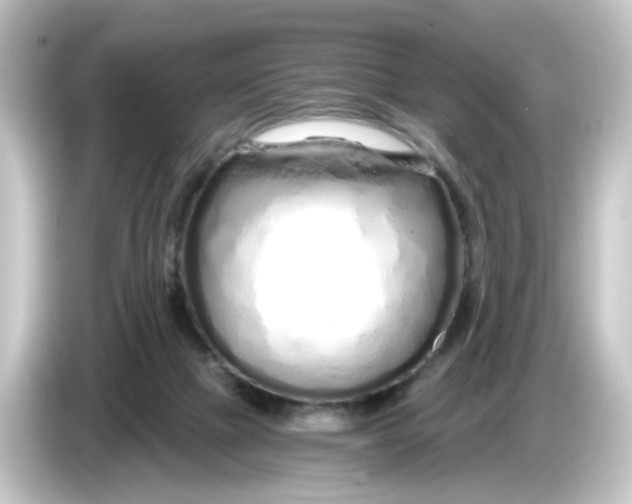 X0000084550073200703161654